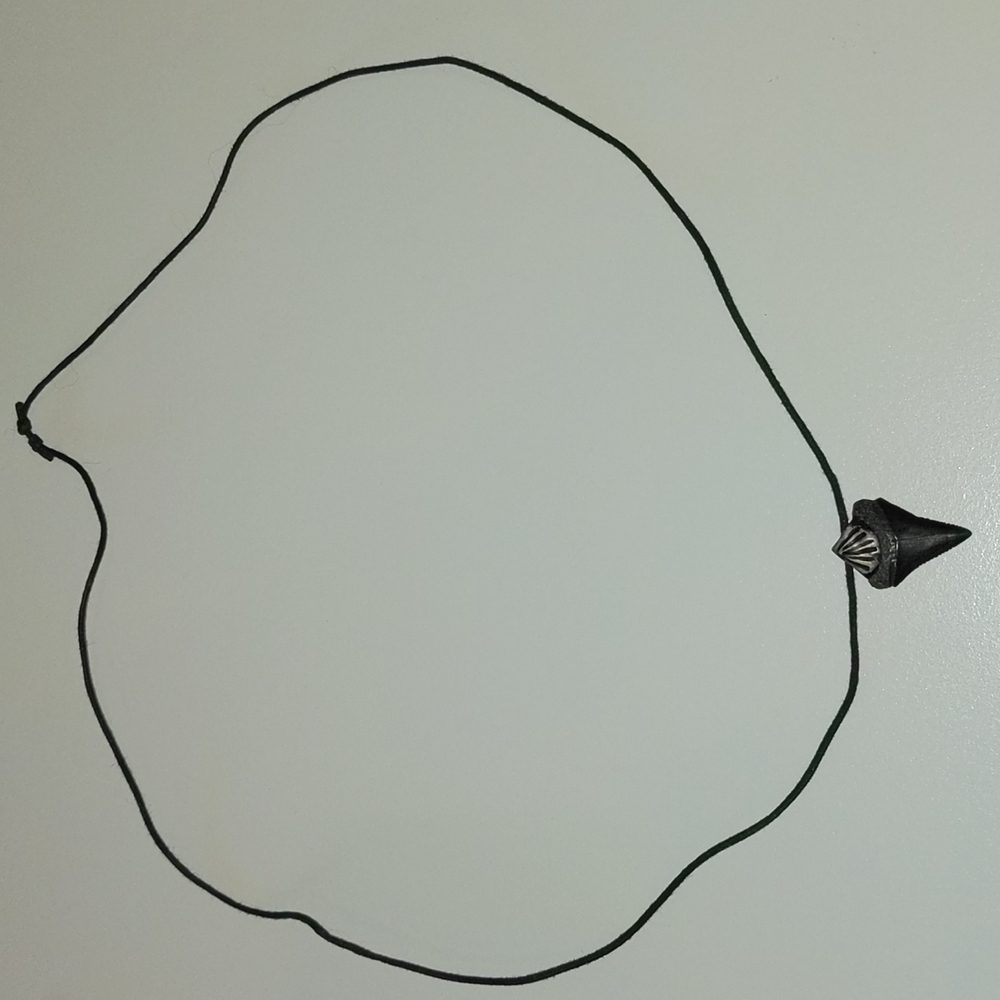Shark Tooth Necklace